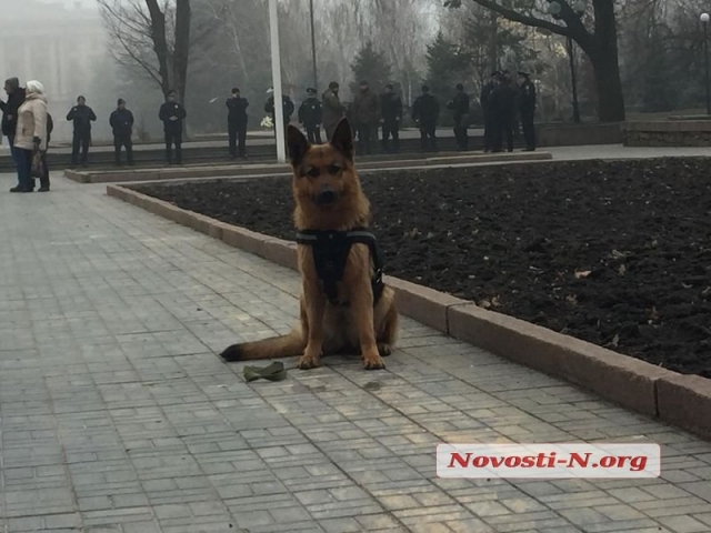 В Николаеве около тысячи силовиков охраняют здание облсовета