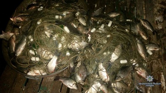 На Николаевщине задержали браконьеров, выловивших 400 рыбин  Подробнее читайте на Юж-Ньюз: http://xn----ktbex9eie.com.ua/archives/5392