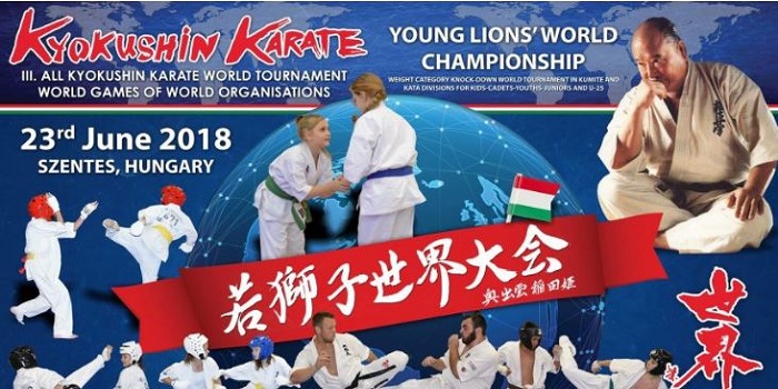 Юный николаевец стал чемпионом мира по киокушин каратэ Подробнее читайте на Юж-Ньюз: http://xn----ktbex9eie.com.ua/archives/12407