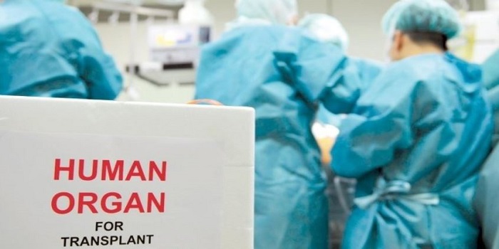Порошенко подписал закон о трансплантации Подробнее читайте на Юж-Ньюз: http://xn----ktbex9eie.com.ua/archives/11261
