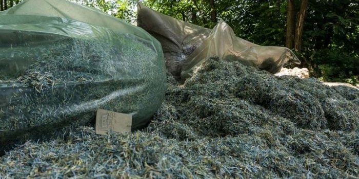 Под Днепром, в лесопосадке, нашли мешки с миллионами гривен Подробнее читайте на Юж-Ньюз: http://xn----ktbex9eie.com.ua/archives/13630