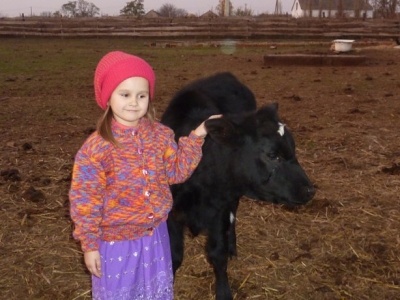Рай для коров: в приюте под Николаевом спасли жизни более чем 600 животным  Подробнее читайте на Юж-Ньюз: https://xn----ktbex9eie.com.ua/archives/18024