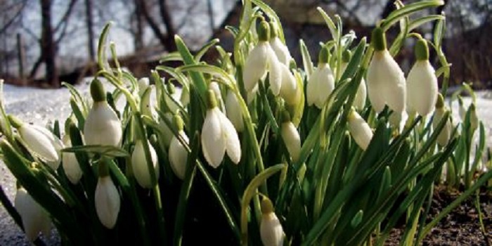 «Весна будет поздней»: синоптик шокировал прогнозом погоды на март Подробнее читайте на Юж-Ньюз: http://xn----ktbex9eie.com.ua/archives/39230