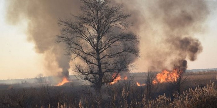 На Южном Буге браконьеры подожгли камыш — пожар растянулся на много километров. Видео. Подробнее читайте на Юж-Ньюз: http://xn----ktbex9eie.com.ua/archives/41099