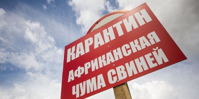 На Николаевщине зафиксировали случаи АЧС: введен карантин Подробнее читайте на Юж-Ньюз: http://xn----ktbex9eie.com.ua/archives/47356
