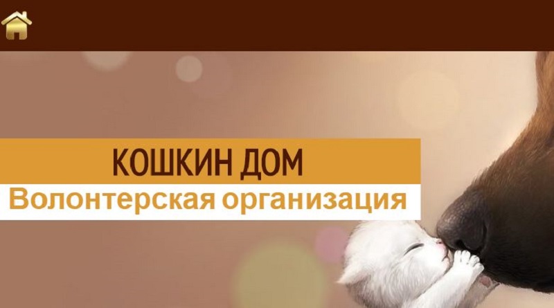 Южноукраинск — Животные страсти Подробнее читайте на Юж-Ньюз: http://xn----ktbex9eie.com.ua/archives/69726