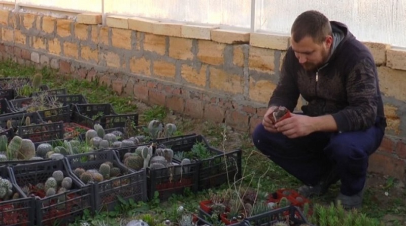 Житель Николаева вырастил дома около двух тысяч кактусов. ВИДЕО