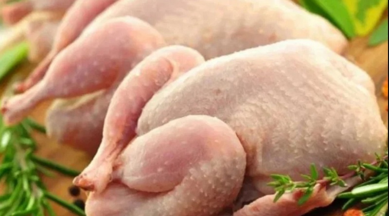 В Первомайске продавали бройлерных цыплят с сальмонеллой