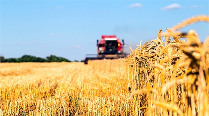 Президент Владимир Зеленский одобрил создание Аграрного реестра в Украине
