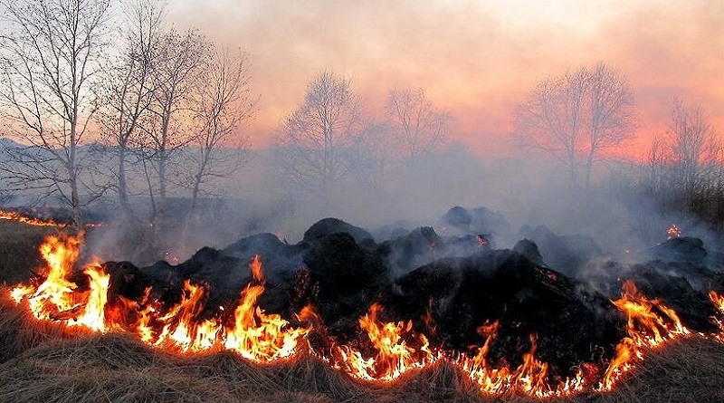 В ГСЧС предупредили о чрезвычайном уровне пожарной опасности в Николаевской области 4 мая
