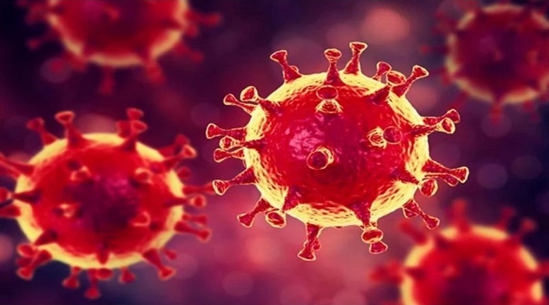 Пандемия коронавируса бушевала еще 20 тыс. лет назад: открытие ученых