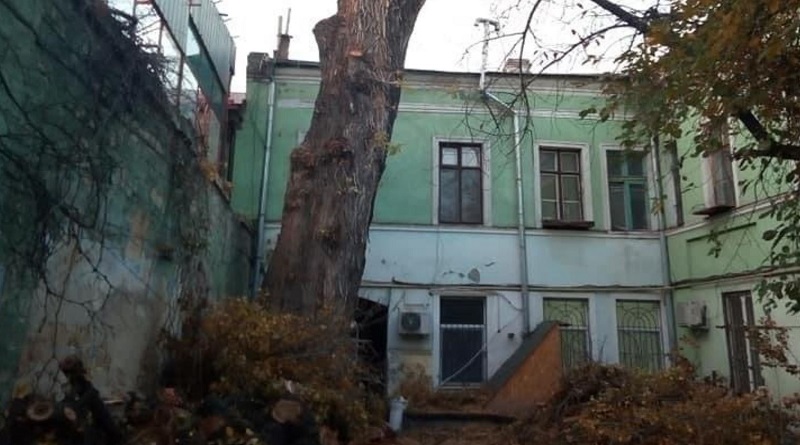 В Одессе спилили "Пушкинский тополь", директору ОСМД грозит до трех лет тюрьмы