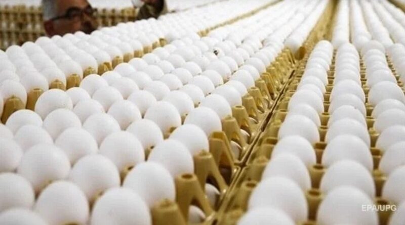 Впервые за годы независимости Украина импортировала яйца из Беларуси