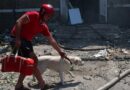 В Николаеве пожарным удалось спасти лабрадора из разрушенной ракетой многоэтажки (видео)