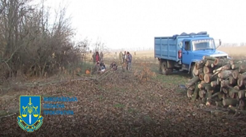 Депутаты в Николаевской области подозреваются в незаконной вырубке деревьев на 665 тысяч