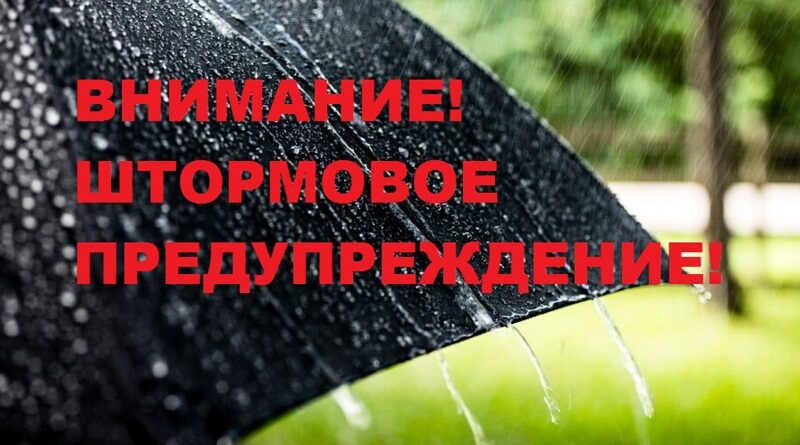 В Николаевской области объявлено штормовое предупреждение