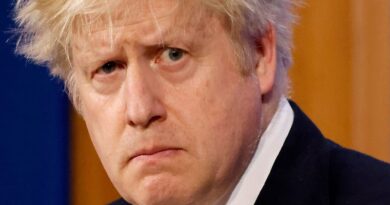 Борис Джонсон на грани отставки - 36 министров покинули правительство