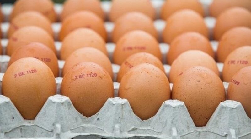 В Україні стабілізують ціни на курячі яйця