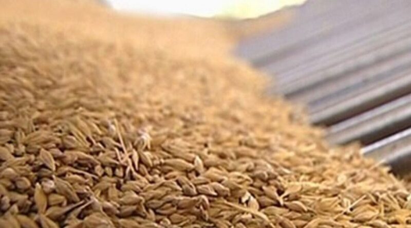 Окупанти вивезли з України пшеницю щонайменше на один мільярд доларів, - ЗМІ